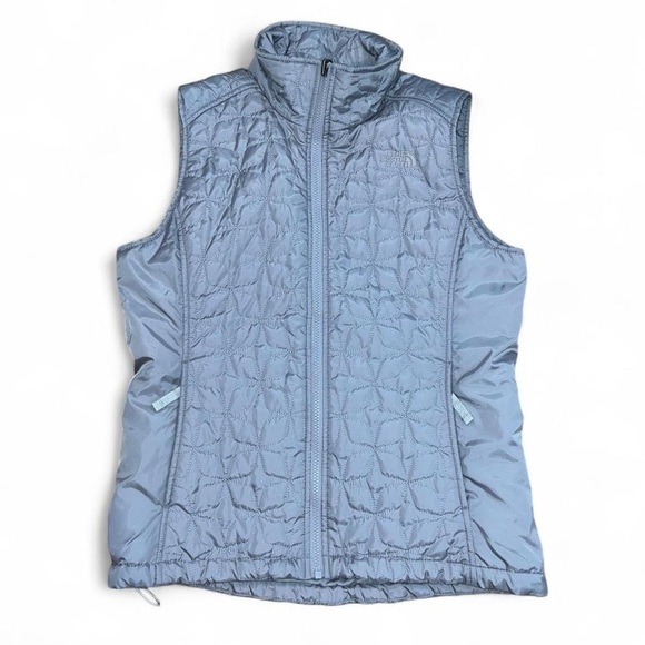 The North Face Silver Quilted Jacket - Picture 1 of 5